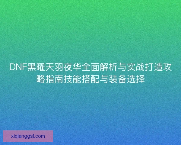DNF黑曜天羽夜华全面解析与实战打造攻略指南技能搭配与装备选择