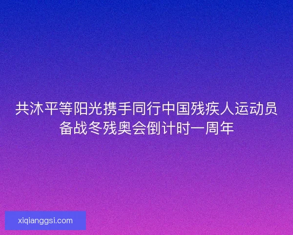 共沐平等阳光携手同行中国残疾人运动员备战冬残奥会倒计时一周年
