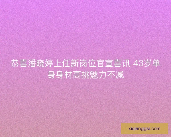 恭喜潘晓婷上任新岗位官宣喜讯 43岁单身身材高挑魅力不减 恭喜潘晓婷上任新岗位官宣喜讯 43岁单身身材高挑魅力不减
